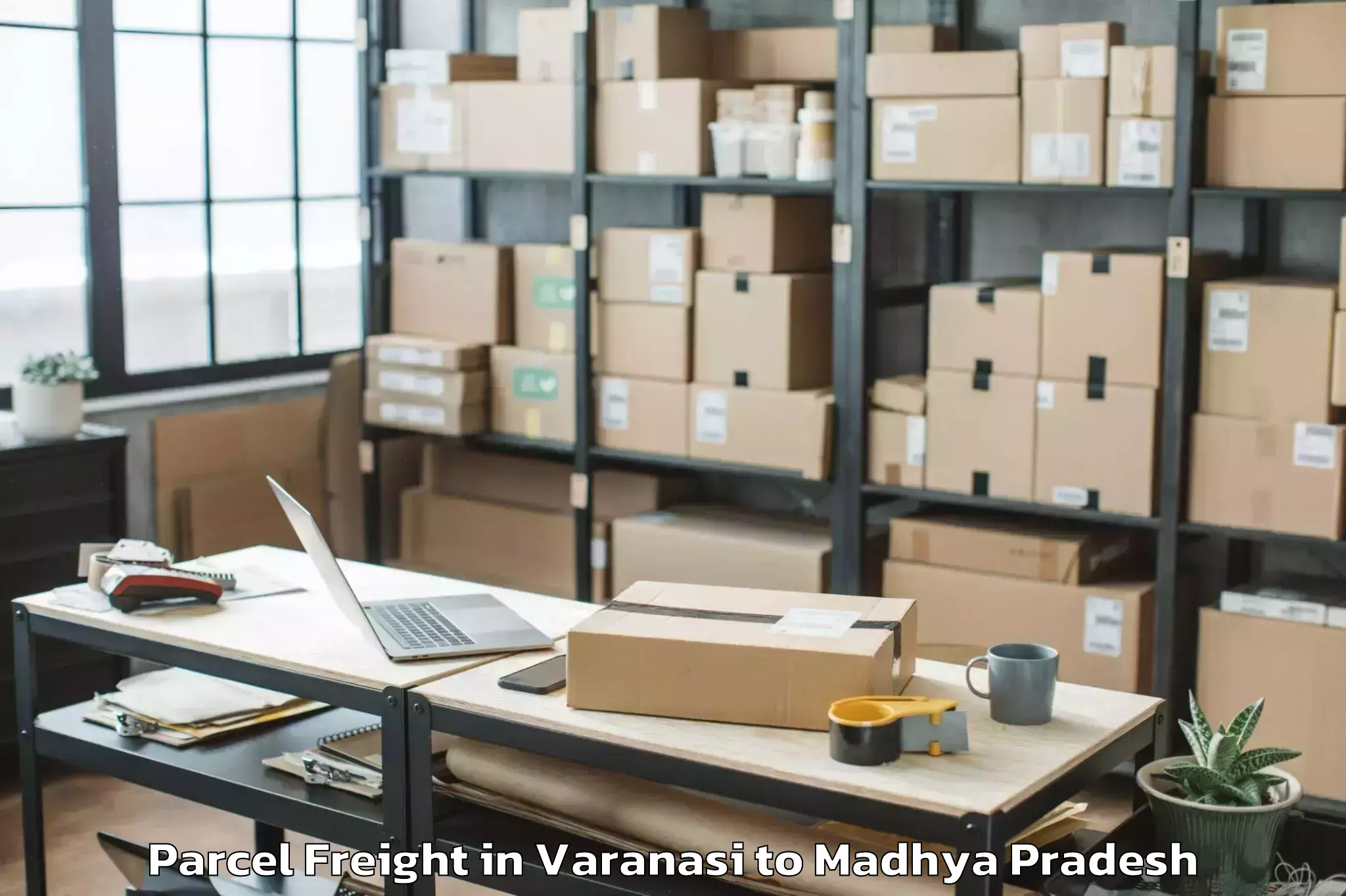 Reliable Varanasi to Nit Bhopal Parcel Freight